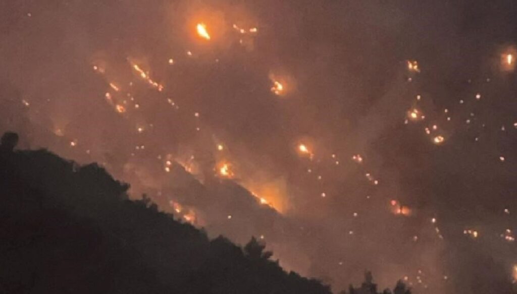 Denizli Buldan’da başlayan yangın Aydın’a sıçradı