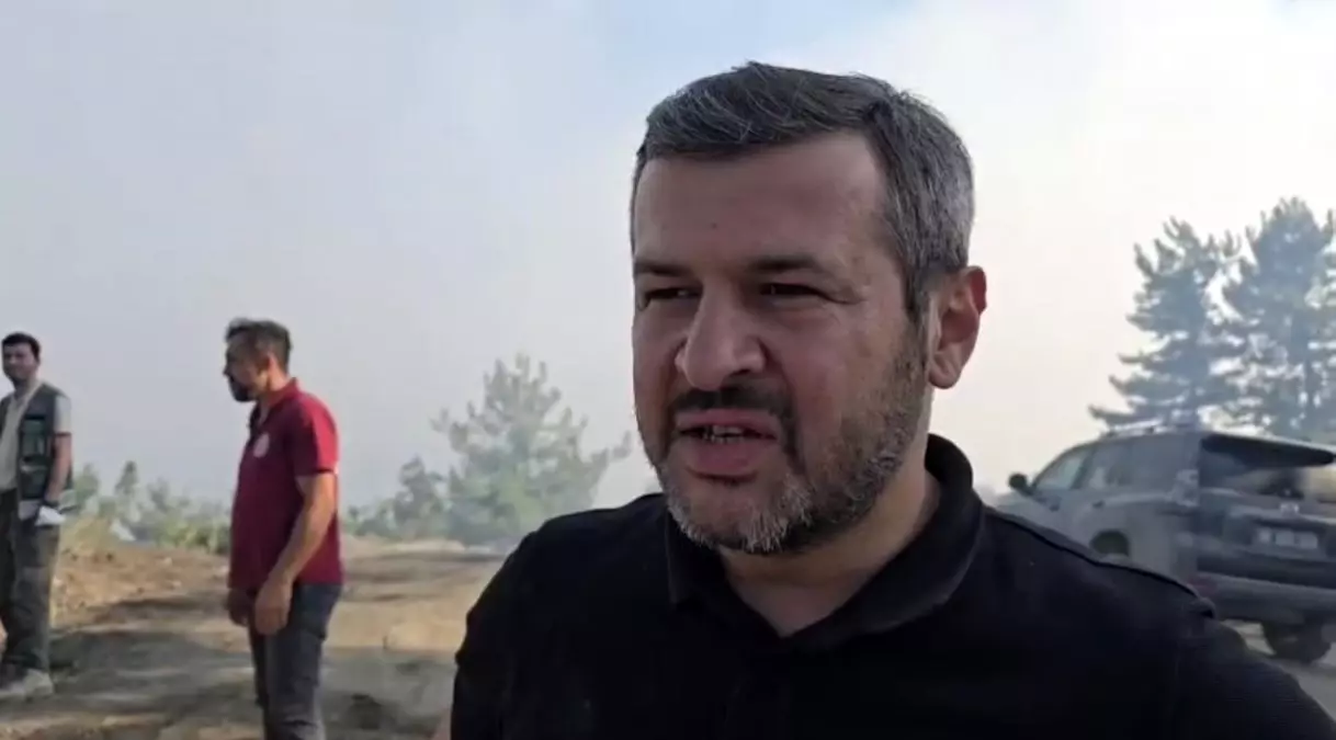 karabukteki orman yanginiyla ilgili aciklama tZlZZyYv