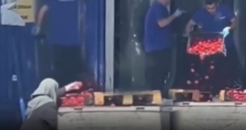 sosyal medyayi ikiye bolen goruntu market domatesleri cope dokerken yasli kadin topladi 19CiqaS4