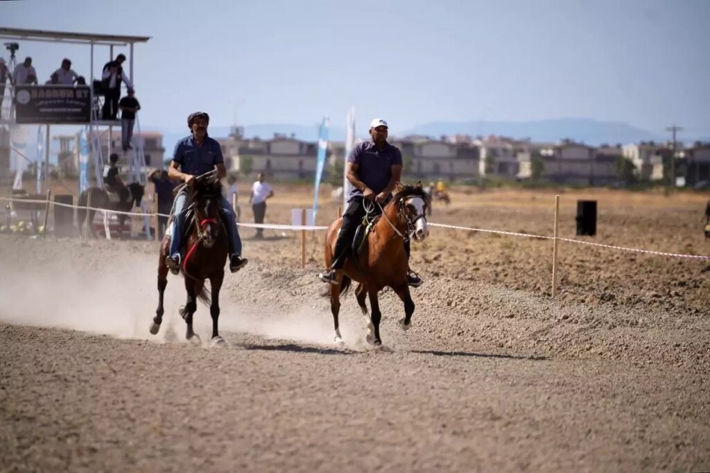 1 ayvalik rahvan at yarislari yogun ilgi gordu 57Gh29fB