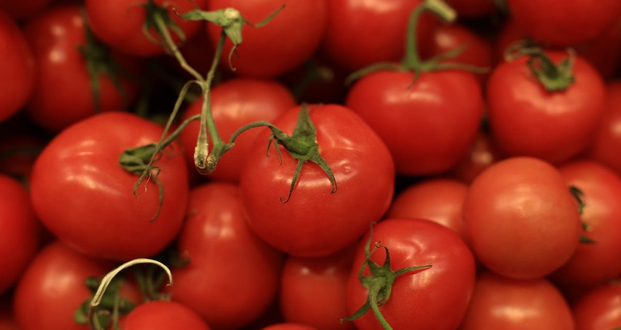 domates yiyenler icin acil uyari 16 ulkede yuzlerce kisi etkilendi 6RvmOB9J