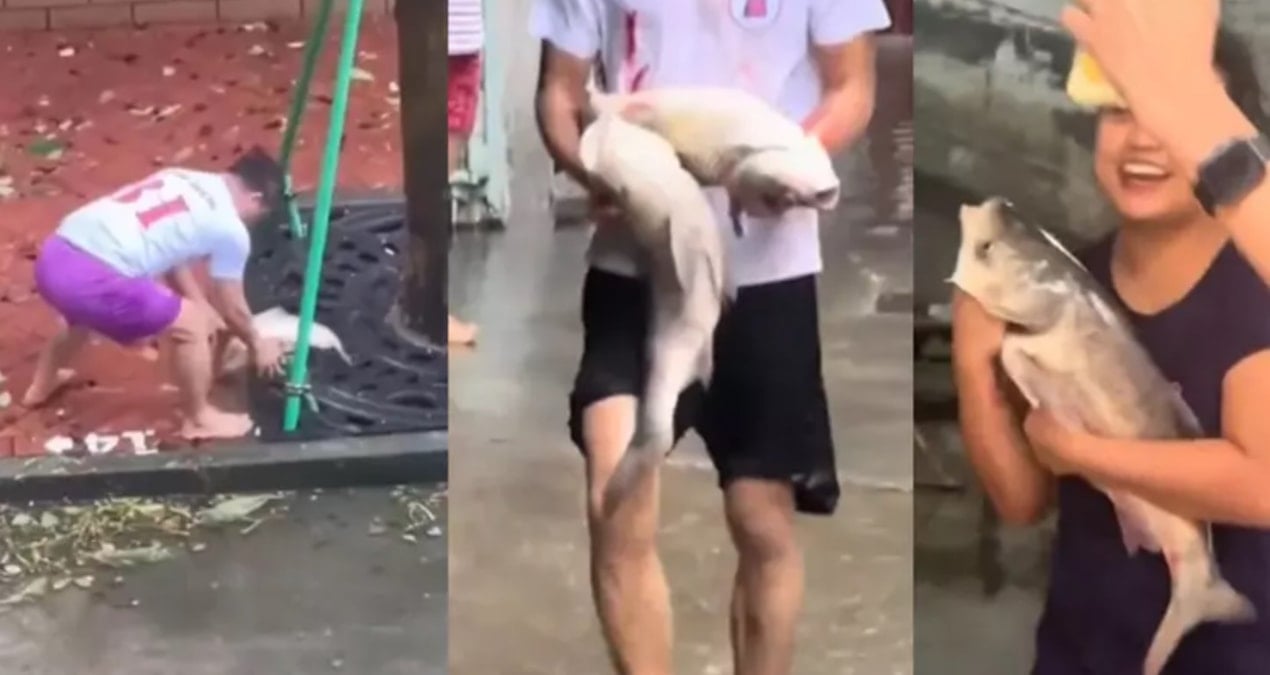 sokaklar balikla doldu kocaman baliklari kucaklayip eve goturduler h8vC9L7V