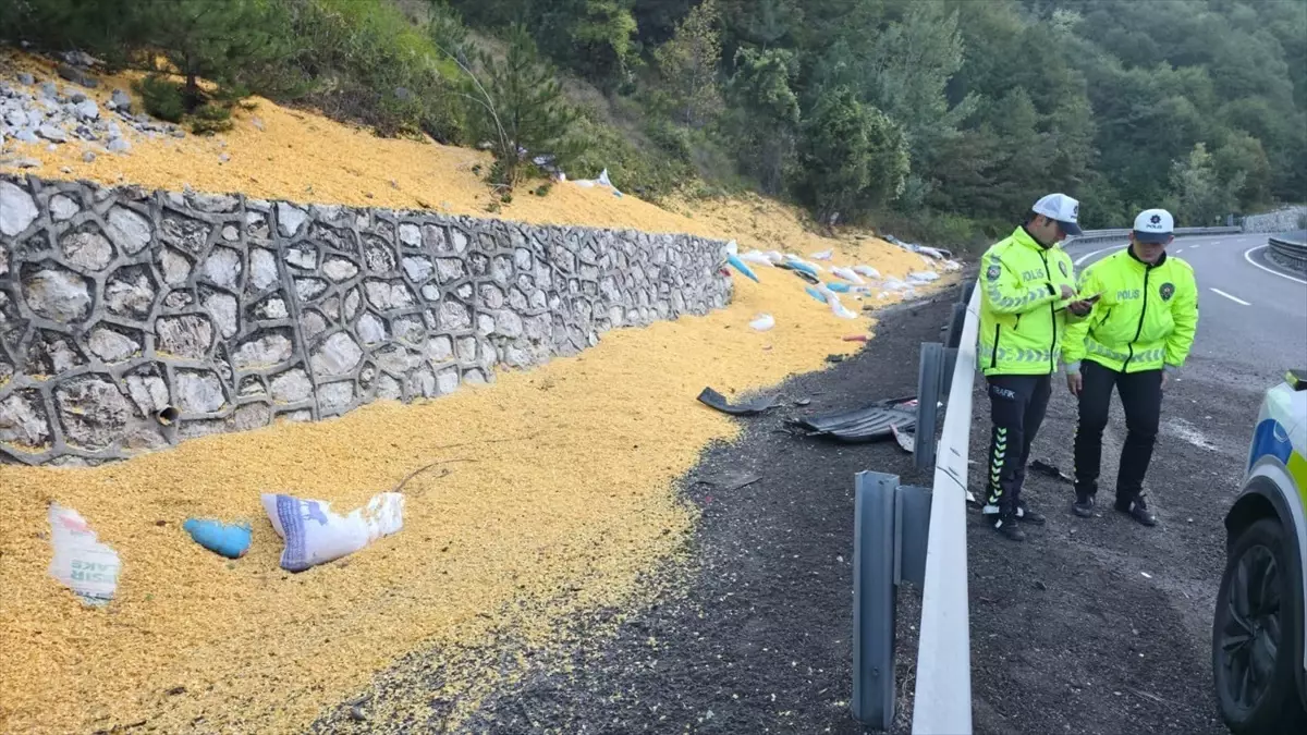 bursa inegolde hayvan yemi yuklu tir devrildi 2 agir yarali vvSlQW7H