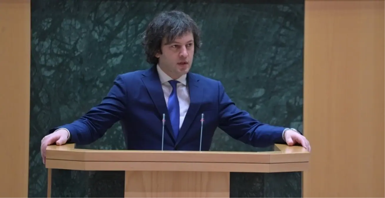 gurcistan basbakani yerel secim gosterileri hukumeti devirmek icin duzenlendi WY333CZn