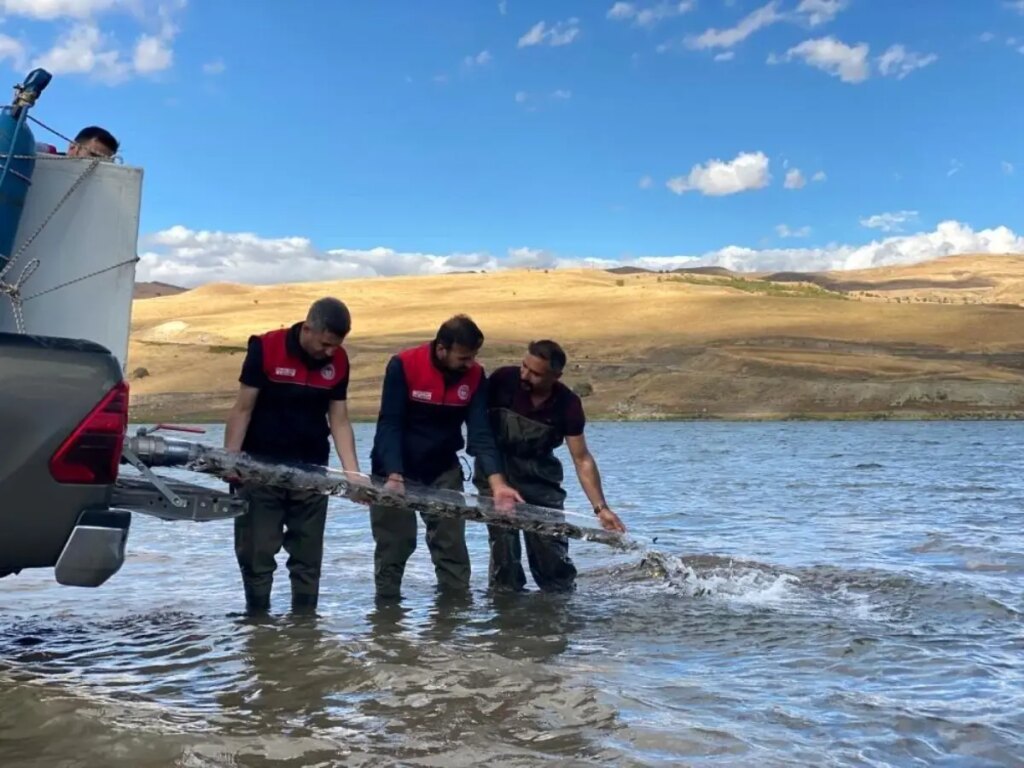 2025’te 83 Milyon Balık Bırakılacak