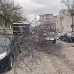 atlas-featured-8862-1775583599-s0HbOD