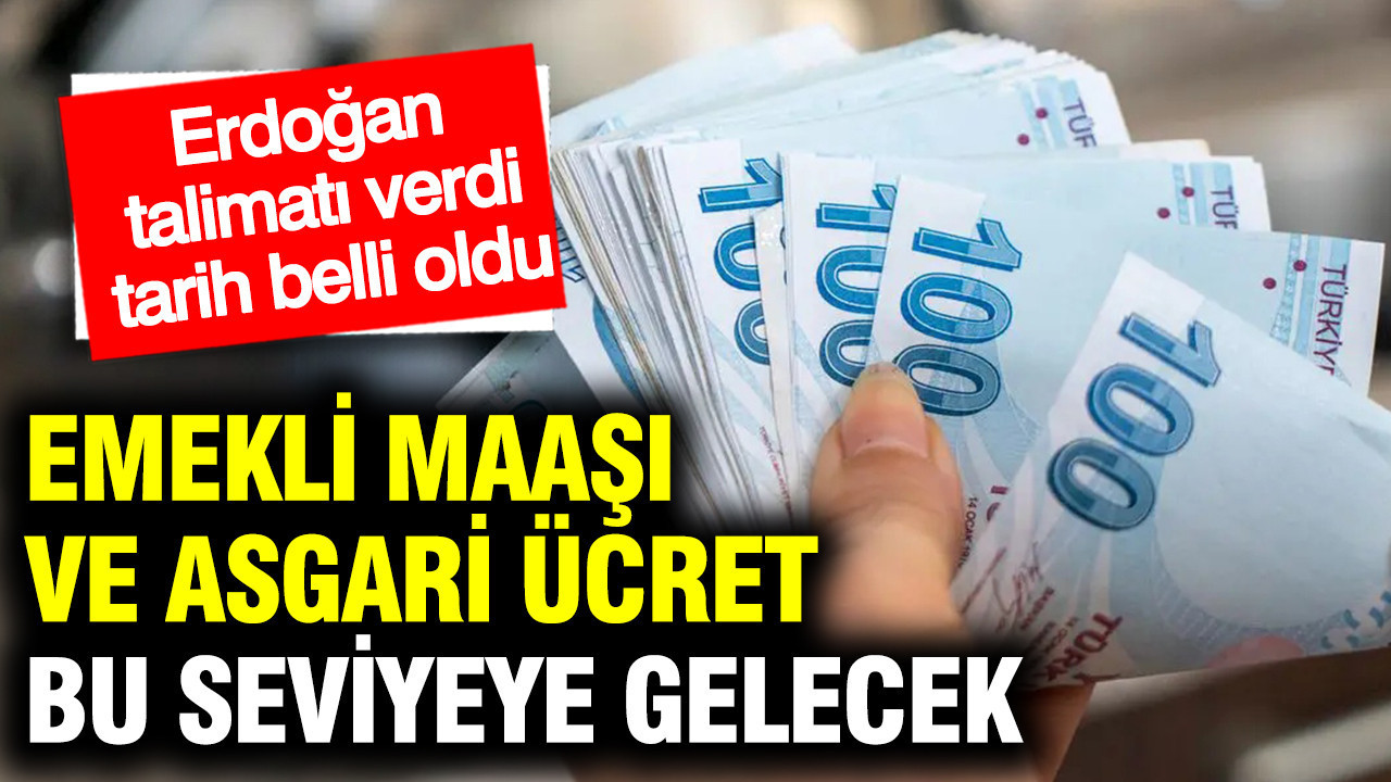 Emekli ve Asgari Ücrette Tarihi Değişiklik: Erdoğan’dan Seçim Hazırlıkları İçin Önemli Talimatlar