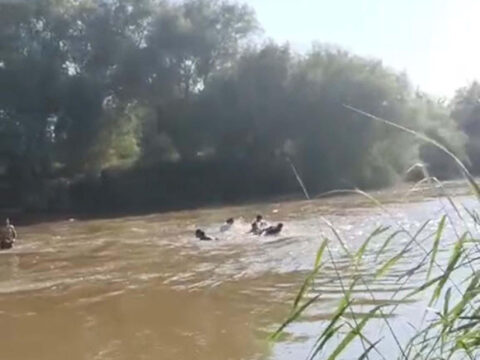 Eda ve sahinin nehirde akintiya kap 2gix