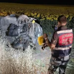 Otomobil aycicegi tarlasina devrildi 5 kisi yaralandi LqNBLKRW